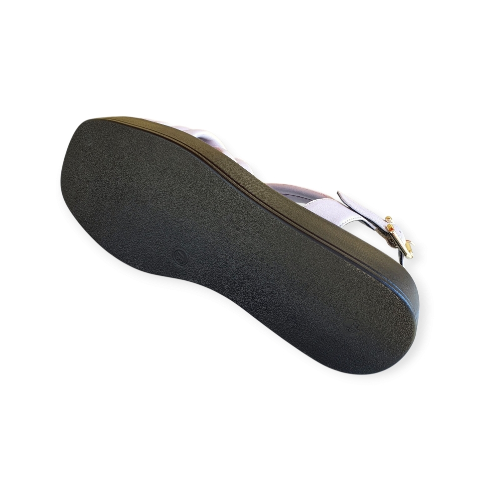 2031 Savana provenza